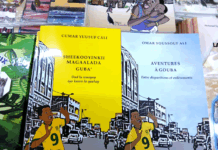 Littérature jeunesse à Djibouti : école, oralité et identité en dialogue