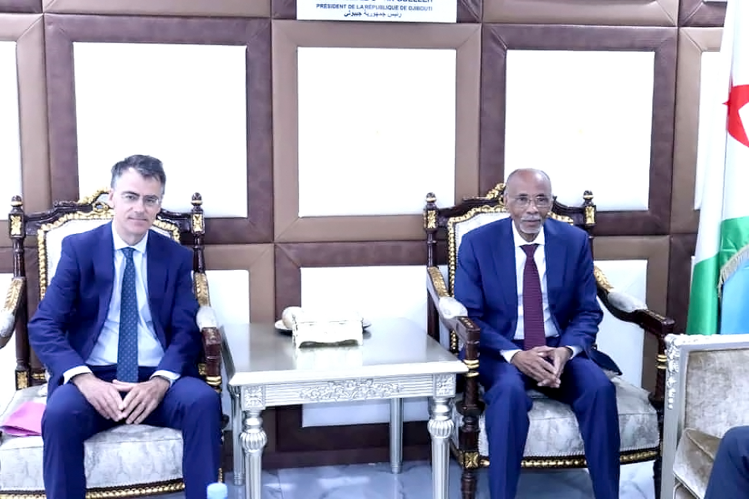 Renforcement de la coopération franco-djiboutienne dans le domaine du Travail