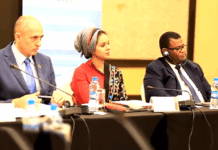 Djibouti affine sa stratégie avant le 2e Sommet mondial pour le développement social à Doha