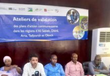 Atelier de validation du Plan d’Action Communautaire à Ali-Sabieh et Doudoub-Allaleh : Une dynamique participative pour un développement local durable et inclusif