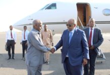 Le Chef de l’Etat regagne le pays à l’issue de sa participation à l’inauguration du Grand Musée d’Egypte