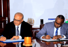 Une nouvelle etape dans la cooperation fraternelle entre djibouti et le yemen dans le domaine des tics