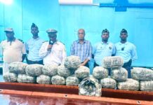 Saisie majeure de cannabis à la frontière de Galilée