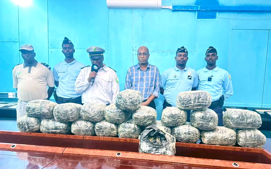 Saisie majeure de cannabis à la frontière de Galilée