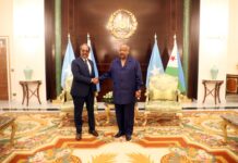 Entretien au sommet entre le Président Guelleh et son homologue somalien