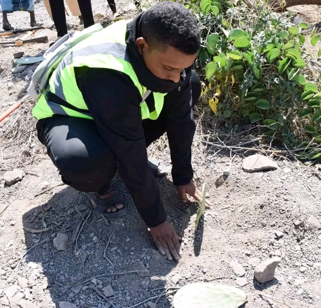 L’éducation au développement durable, un levier essentiel face au changement climatique