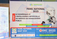 Djibouti : L’ère de la maturité stratégique Le pari audacieux sur la transformation numérique