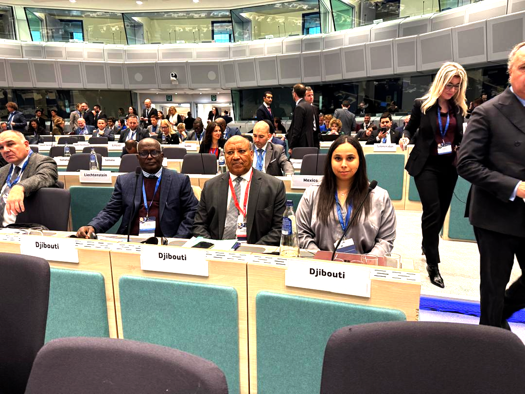 La République de Djibouti participe à la Conférence internationale contre le trafic de migrants à Bruxelles