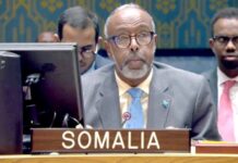 La Somalie saisit le Conseil de sécurité et rejette catégoriquement la reconnaissance du Somaliland par Israël