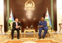 Le Président Guelleh reçoit le Vice-Premier Ministre égyptien