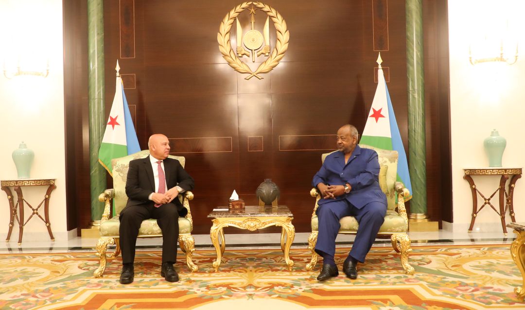 Le Président Guelleh reçoit le Vice-Premier Ministre égyptien