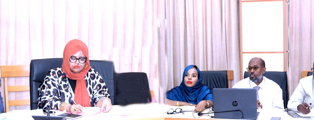 Assemblée Nationale Patrimoine culturel national : adoption avec amendements du projet de loi en commission