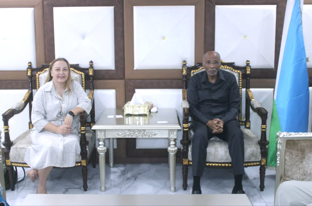 Le Ministre du Travail reçoit la nouvelle Représentante résidente du PNUD