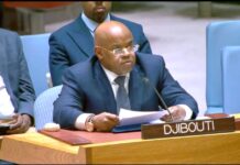 Au Conseil de sécurité, Djibouti plaide pour un multilatéralisme fondé sur le droit et la justice