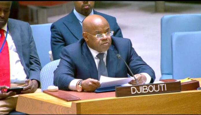 Au Conseil de sécurité Djibouti plaide pour un multilatéralisme fondé sur le droit et la justice