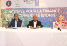 BIOFIN–Djibouti : Un tournant stratégique pour le financement durable de la biodiversité nationale