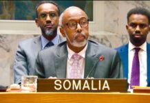 L’ambassadeur somalien à l’ONU dénonce la reconnaissance israélienne du Somaliland et un détournement de l’attention sur la Palestine