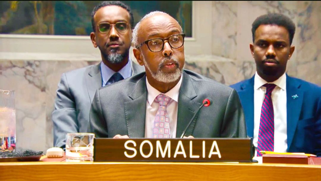 L’ambassadeur somalien à l’ONU dénonce la reconnaissance israélienne du  Somaliland et un détournement de l’attention sur la Palestine