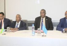 Un atelier sous-régional consacré à la gestion des bases de données environnementales