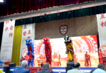 Nouvel An chinois à Djibouti : la Base militaire de Doraleh célèbre le Cheval de feu sous le signe de l’amitié sino-djiboutienne