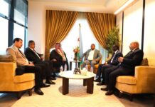 Énergies renouvelables, vers un partenariat arabo-africain structurant