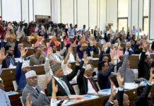 Le Parlement fédéral somalien adopte la Constitution officielle du pays