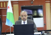 Djibouti condamne les agressions contre les pays arabes et plaide pour une réponse arabe unie