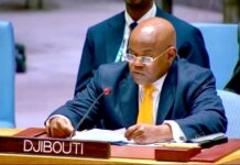 Djibouti alerte l’ONU : la sécurité des routes maritimes, enjeu vital d’un monde sous tension