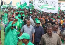 Campagne présidentielle 2026 : mobilisation exceptionnelle au 4e meeting du président Ismaïl Omar Guelleh à Arta