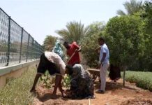 Changement climatique : Quand l’environnement redessine les trajectoires migratoires