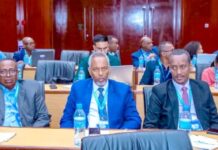 Djibouti s’impose comme référence mondiale de la digitalisation portuaire : Le modèle DPCS distingué à Dar es Salam