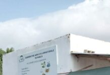 Mabla : une pépinière pour enraciner l’avenir agropastoral