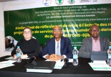 Quand l’innovation numérique ouvre de nouveaux horizons aux agriculteurs et éleveurs