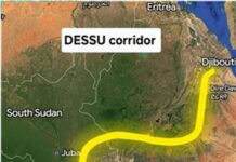 Le corridor DESSU : un test de cohésion régionale à l’ère de la diplomatie des infrastructures