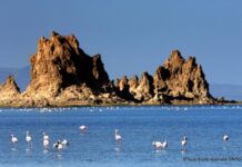 Le tourisme : Un secteur prometteur