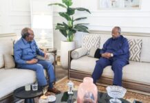 Audience au sommet entre les Présidents djiboutien et somalien