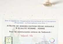 Tadjourah : quand l’économie bleue ouvre un nouvel horizon aux femmes