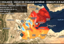 Journée mondiale de l’environnement 2026 : Face aux dérèglements climatiques, l’Association PARI plaide pour une action immédiate