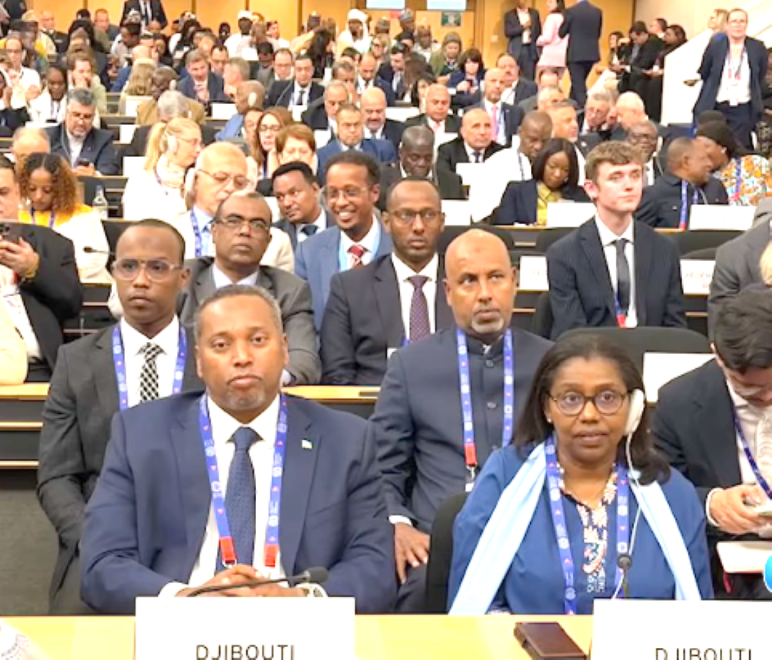 A Genève, le ministre du travail participe à la 114ᵉ Conférence ...