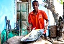Aquaculture : le pari d’une nouvelle filière pour la souveraineté alimentaire et l’emploi