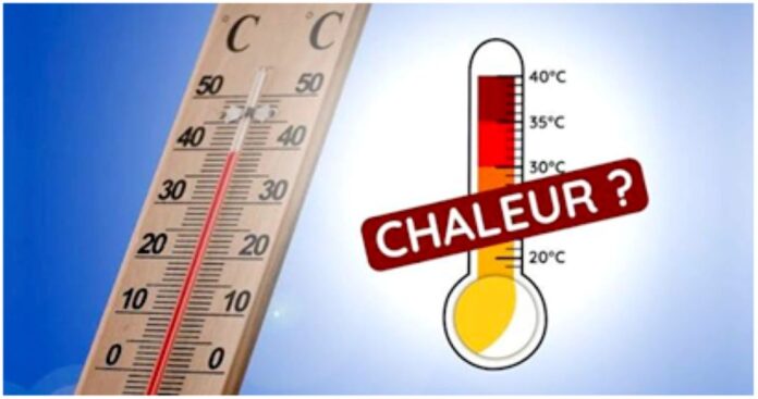 CHALLEUR copy