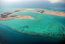 TOURISME : Découvrir Djibouti, au cœur d’une Afrique généreuse