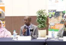 Mobilité urbaine et résilience climatique : Djibouti trace le réseau routier de demain