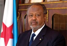 Séisme meurtrier dans la région d’Amhara : Djibouti exprime sa solidarité avec le peuple frère éthiopien
