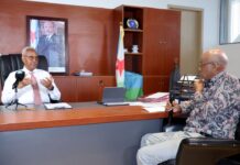 Bab el-Mandeb sous tension : Djibouti défend la résilience de ses ports et mise sur sa position stratégique
