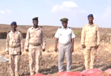Dikhil : 960 kg de khat de contrebande saisis aux portes de la ville
