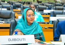 Conférence annuelle des présidents des parlements africains à Johannesburg : Djibouti défend une intégration africaine au service des citoyens