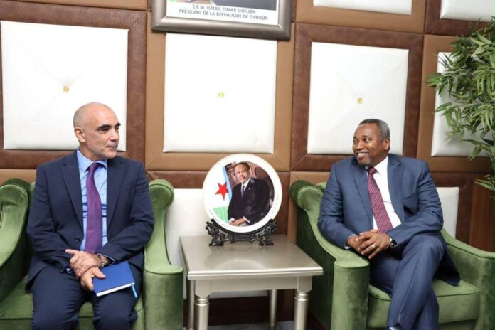 Djibouti–OIM de nouvelles perspectives pour la mobilité professionnelle1