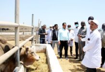 Le ministre de l’Agriculture au cœur du dispositif sanitaire à Damerjog