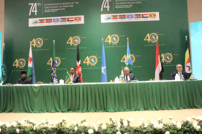 IGAD (3)